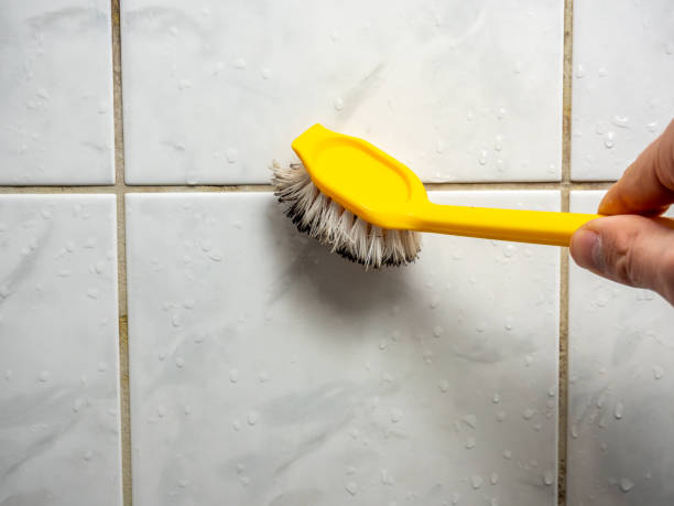 Best Toxic Mold Removal  in Clarinda, IA