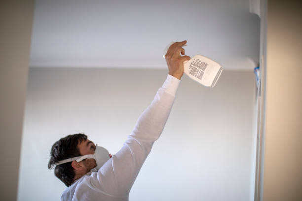 Best Attic Mold Removal  in Clarinda, IA